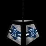 Xavier Pendant Box Light