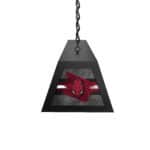 University of Arkansas Long Box Billiard Light