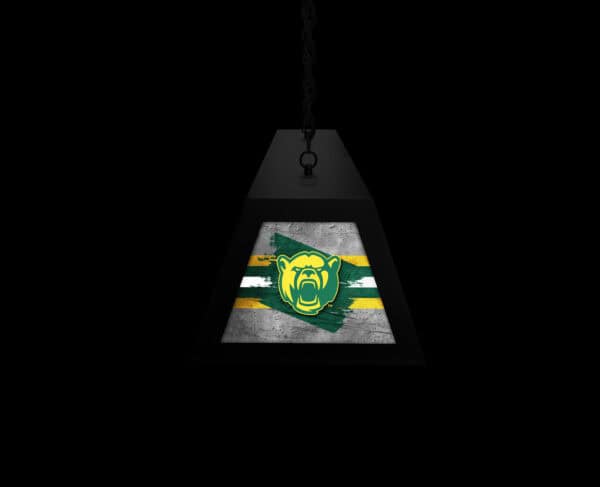 bxlm2bkbaylor 6