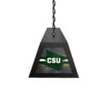 Colorado State University Long Box Billiard Light