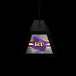 East Carolina University Long Box Billiard Light