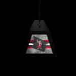 Ohio State University Long Box Billiard Light
