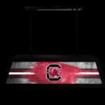 University of South Carolina Long Box Billiard Light