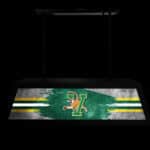 University of Vermont Long Box Billiard Light