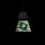 University of Vermont Long Box Billiard Light