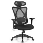 Ergonomic High Back Mesh Office Chair with Adjustable Lumbar Support 10 Ergonomic High Back Mesh Office Chair with Adjustable Lumbar Support