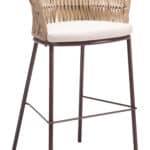 Outdoor Modern Barstool with Cushions and Steel Frame (Set of 2)