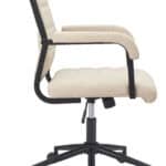 Beige Adjustable Office Chair with Swivel and Recline Function
