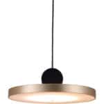 Modern Gold and Black Ceiling Lamp with Adjustable Cord and LED 17 Modern Gold and Black Ceiling Lamp with Adjustable Cord and LED